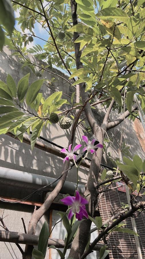Homestay Da Nang Full House Exterior photo